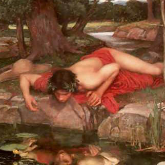 Narcissus.jpg